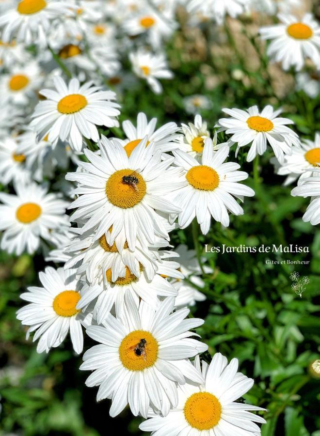 Les Jardins De Malisa Hotel Ferrieres-la-Verrerie ภายนอก รูปภาพ